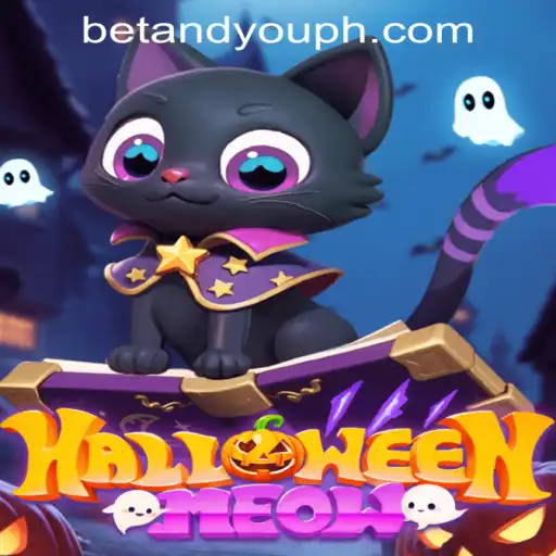 HalloweenMeow: A Spooky Adventure in the World of Betandyou Game